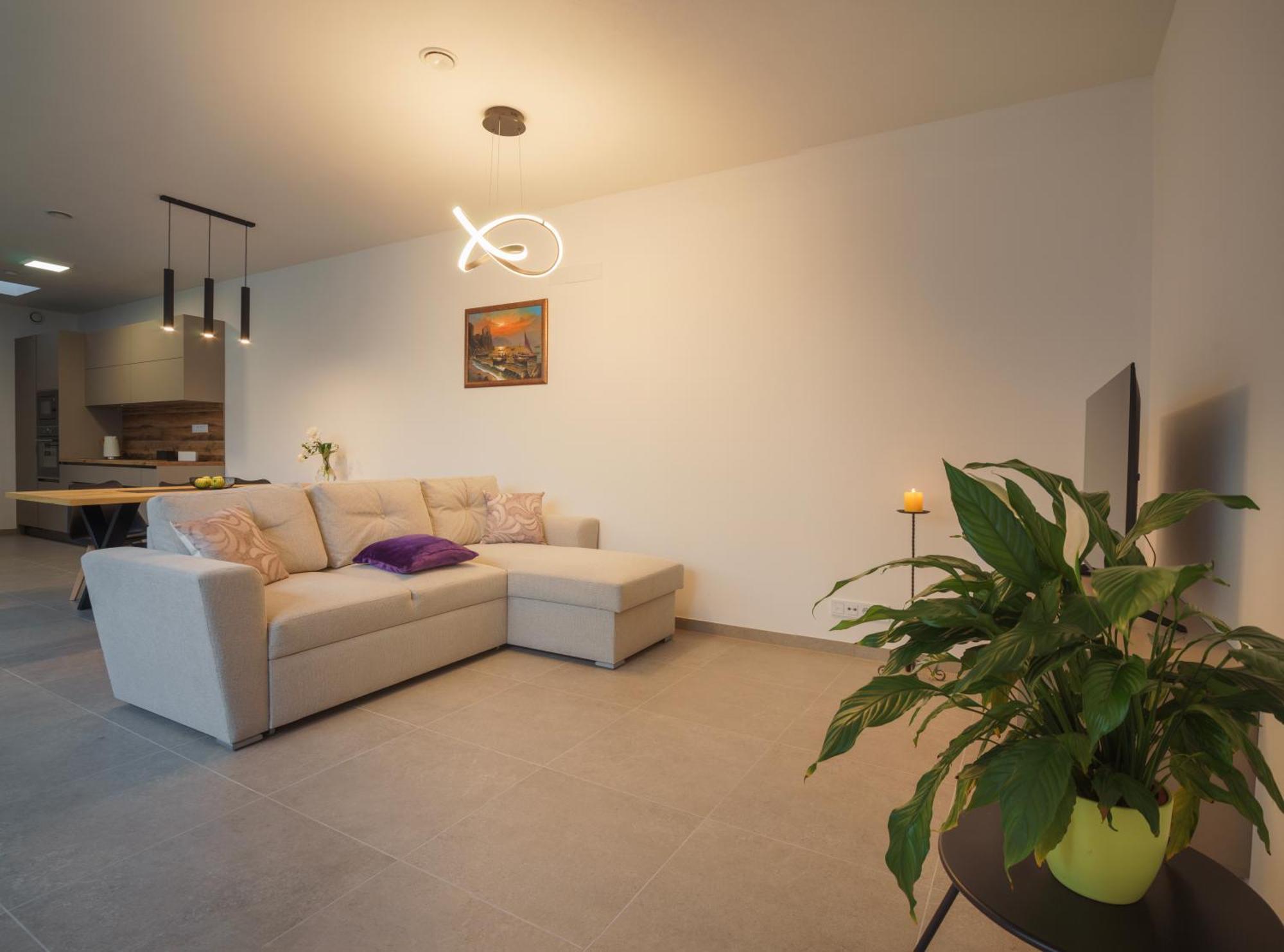 Podebradova Premium Apartment
